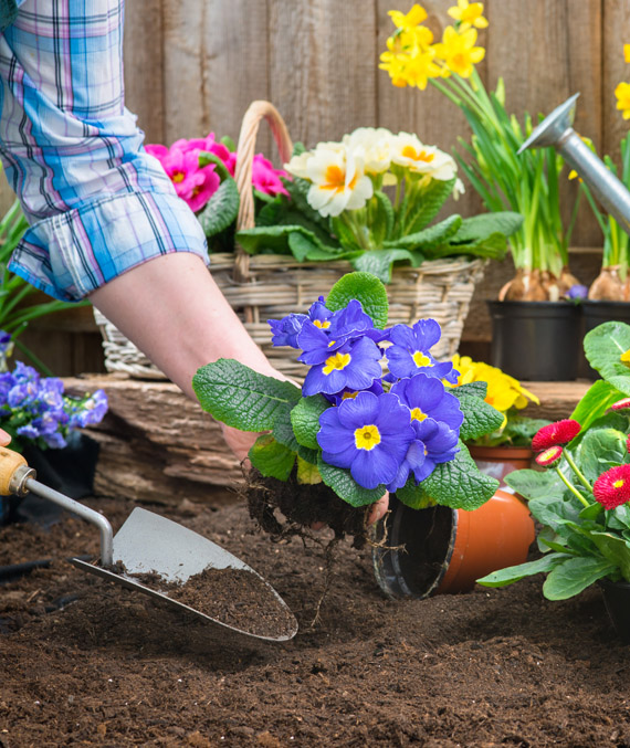 Don's Garden Shop and Landscape Materials - Tips - Healthy Soil